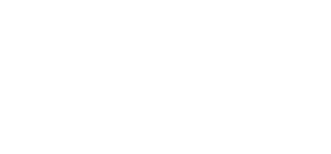 cargobull_white