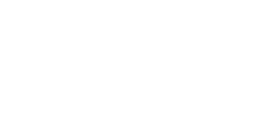 cargobull_white