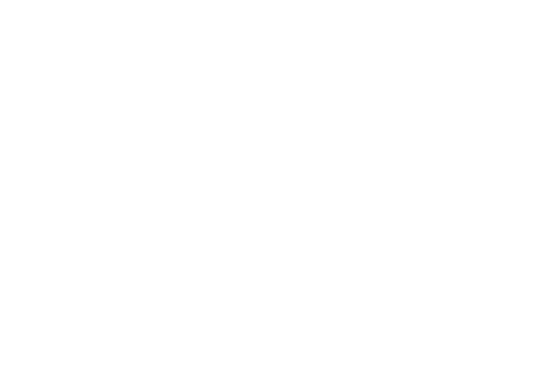 salesforce_white