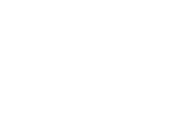 swiss_o_par_Logo